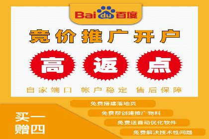 竞价排名案例：快速抢占市场先机